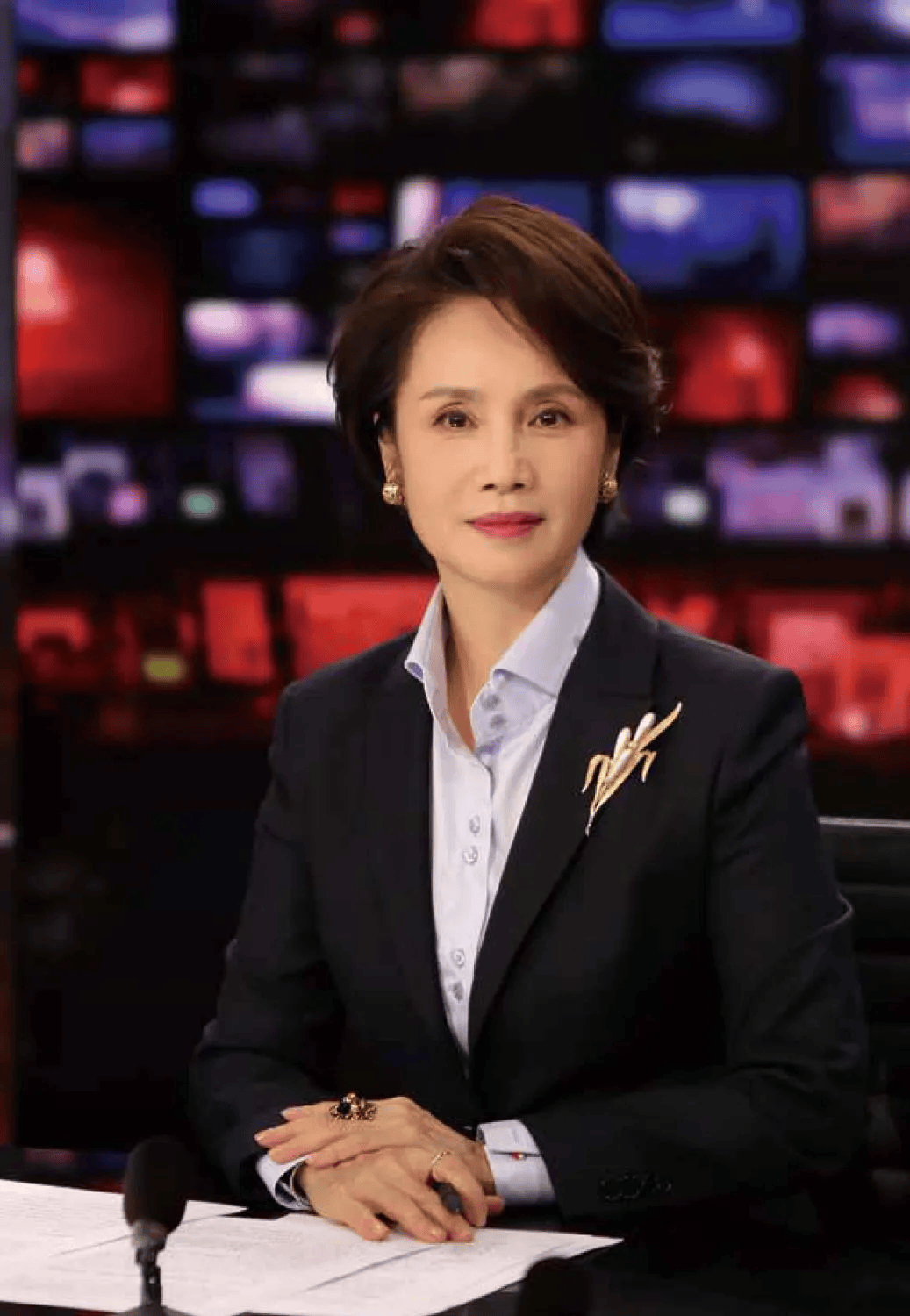 前央视知名主持人<strong></p>
<p>币安海外</strong>，转行当演员
