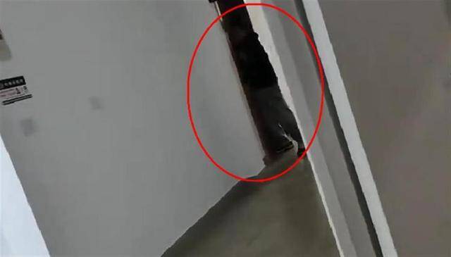 上海一高校男生晚上撞开女生寝室门<strong></p>
<p>币安APP</strong>，校方：醉酒后走错了
