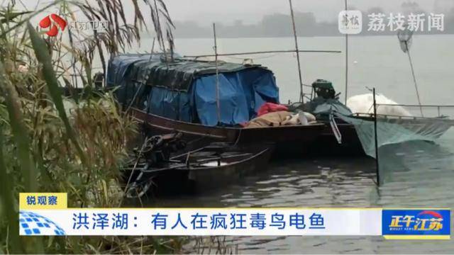 江苏洪泽湖有人毒鸟电鱼<strong></p>
<p>币安APP</strong>？淮安市相关部门：已了解相关情况 正在核实处理