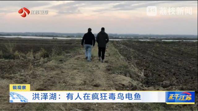 江苏洪泽湖有人毒鸟电鱼<strong></p>
<p>币安APP</strong>？淮安市相关部门：已了解相关情况 正在核实处理