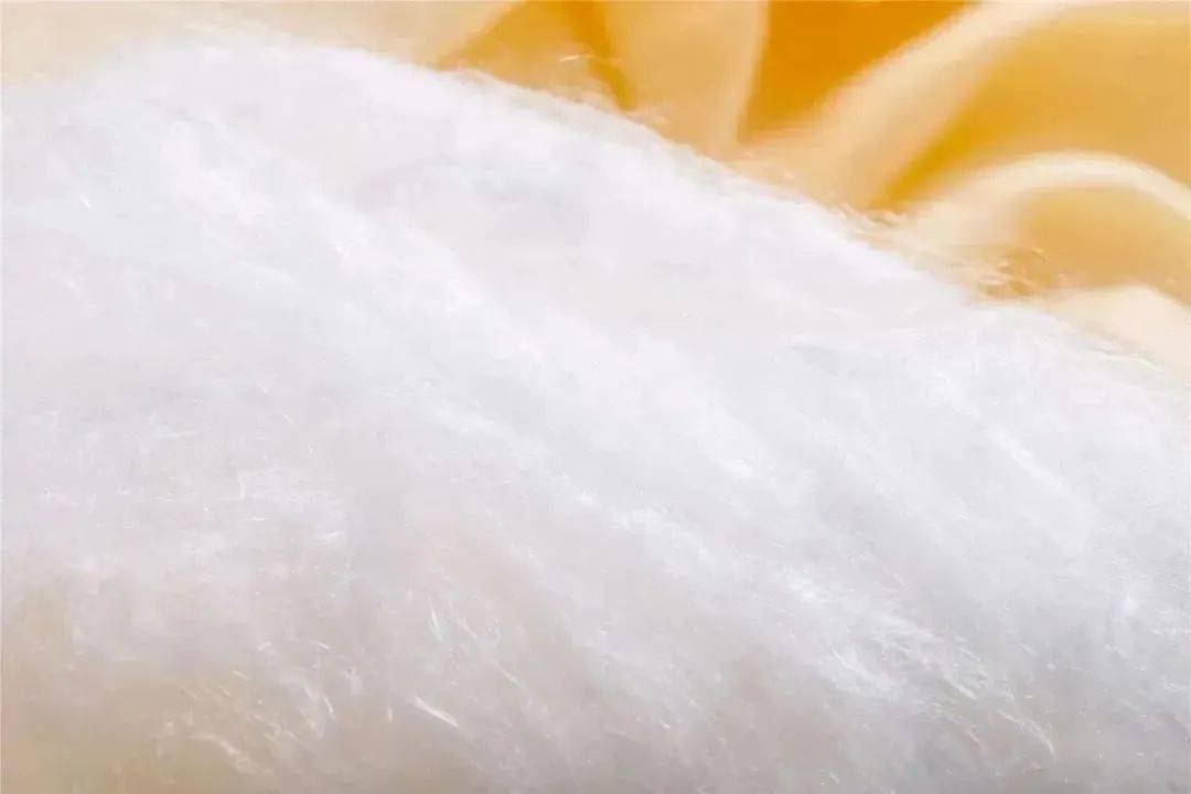 别买<strong></p>
<p>币安怎么玩</strong>！别开门！深圳已有人中招！多地网友吐槽：心都凉了……
