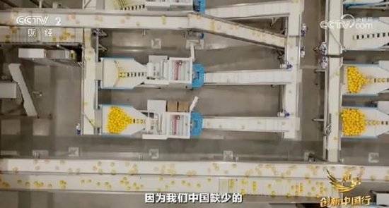 2024年末央视再度专访钟睒睒<strong></p>
<p>binance币安ios</strong>，背后有何深意？