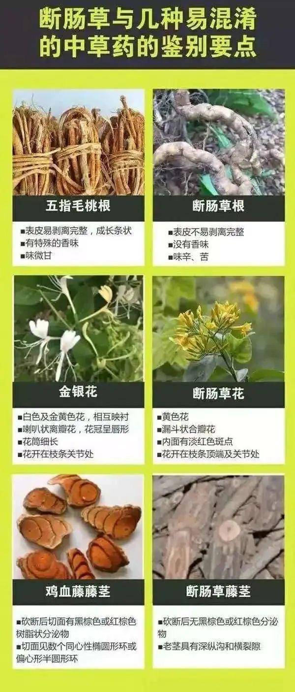 广东一老人买药材煲汤中毒身亡 当地：店铺误售断肠草<strong></p>
<p>币安下载不了</strong>，老板被拘留
