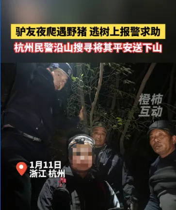 “我现在在树上<strong></p>
<p>币安网站进不去</strong>，野猪在下面……”杭州一男子深夜报警！