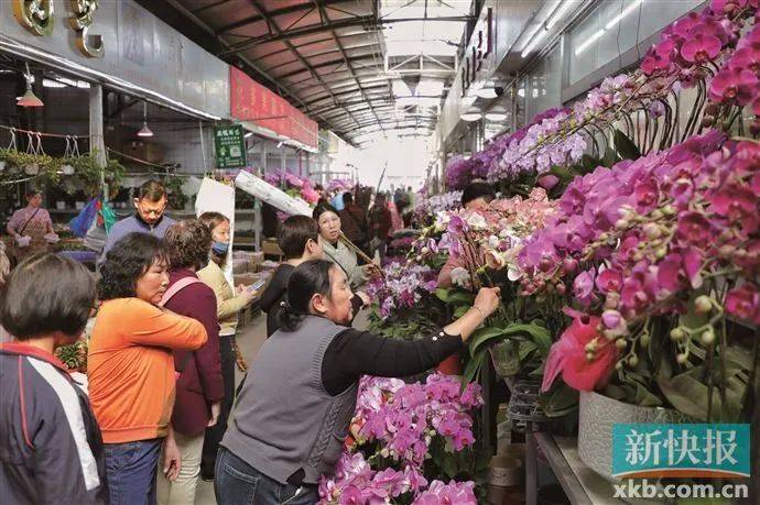 太火了<strong></p>
<p>币安binance网</strong>！广州有商家一天卖出平时一个月的花