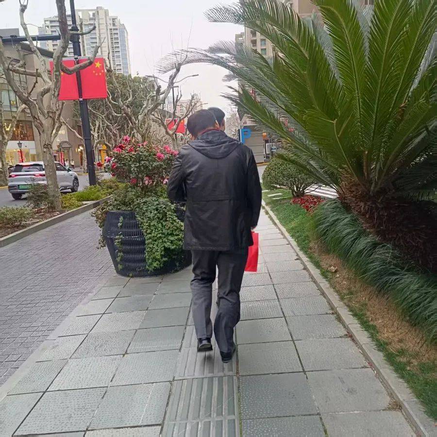 不是扎脸就是扎头<strong></p>
<p>币安下载</strong>，还有毒！上海街头这种行道树合适吗？