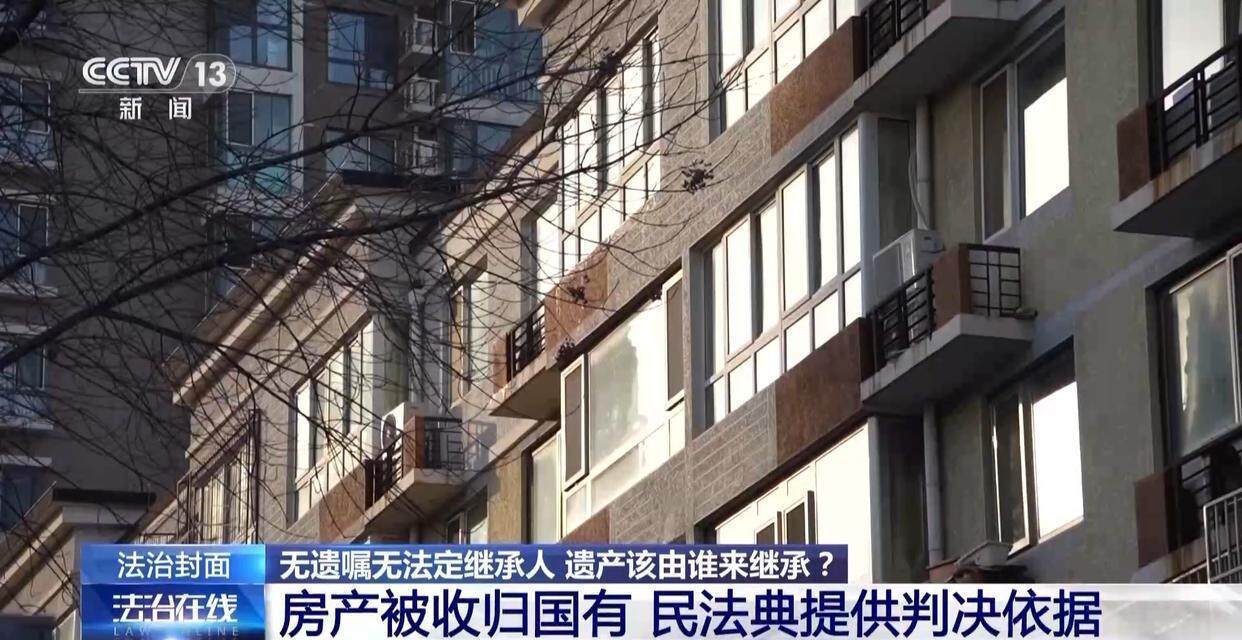 独身女子病逝后叔姑舅姨9人争遗产<strong></p>
<p>币安app</strong>，房产为何收归国家？案例释法→