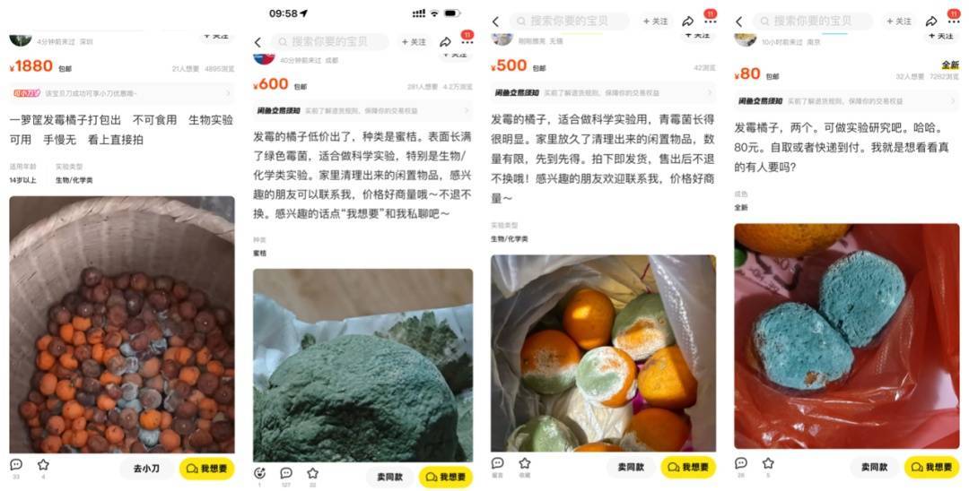 突然火了<strong></p>
<p>bnb价格</strong>！有人卖500元一个！网友：后悔扔了……