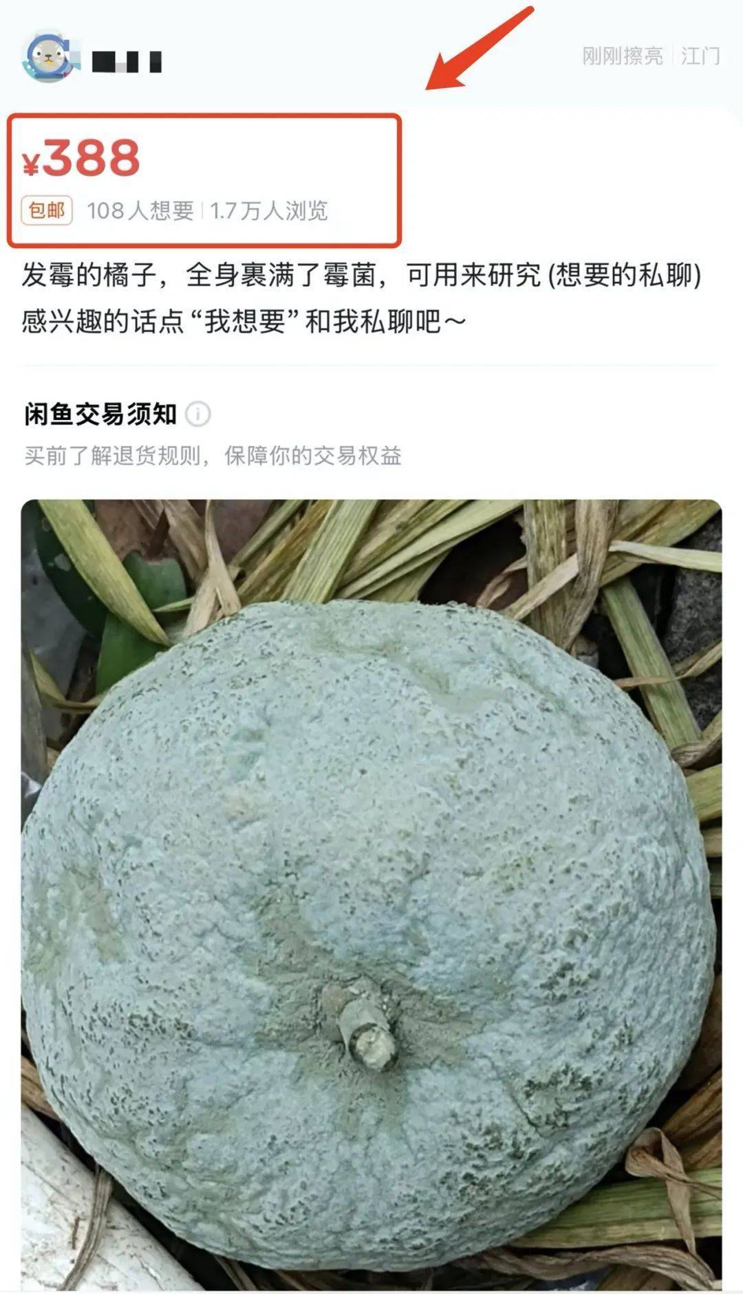 突然火了<strong></p>
<p>bnb价格</strong>！有人卖500元一个！网友：后悔扔了……