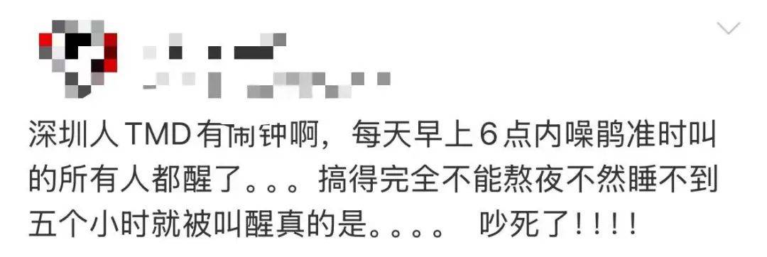 “周末想睡个懒觉都不行”<strong></p>
<p>bnb发行</strong>，有多少深圳人被这种鸟吵到神经衰弱