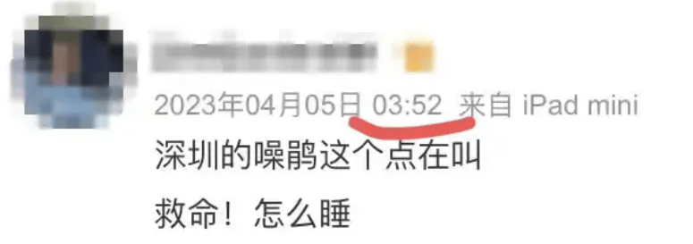 “周末想睡个懒觉都不行”<strong></p>
<p>bnb发行</strong>，有多少深圳人被这种鸟吵到神经衰弱