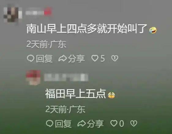 “周末想睡个懒觉都不行”<strong></p>
<p>bnb发行</strong>，有多少深圳人被这种鸟吵到神经衰弱