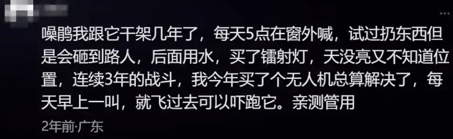 “周末想睡个懒觉都不行”<strong></p>
<p>bnb发行</strong>，有多少深圳人被这种鸟吵到神经衰弱