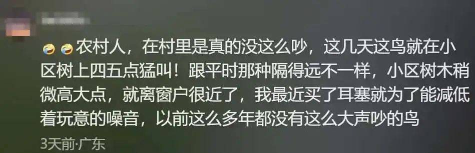 “周末想睡个懒觉都不行”<strong></p>
<p>bnb发行</strong>，有多少深圳人被这种鸟吵到神经衰弱