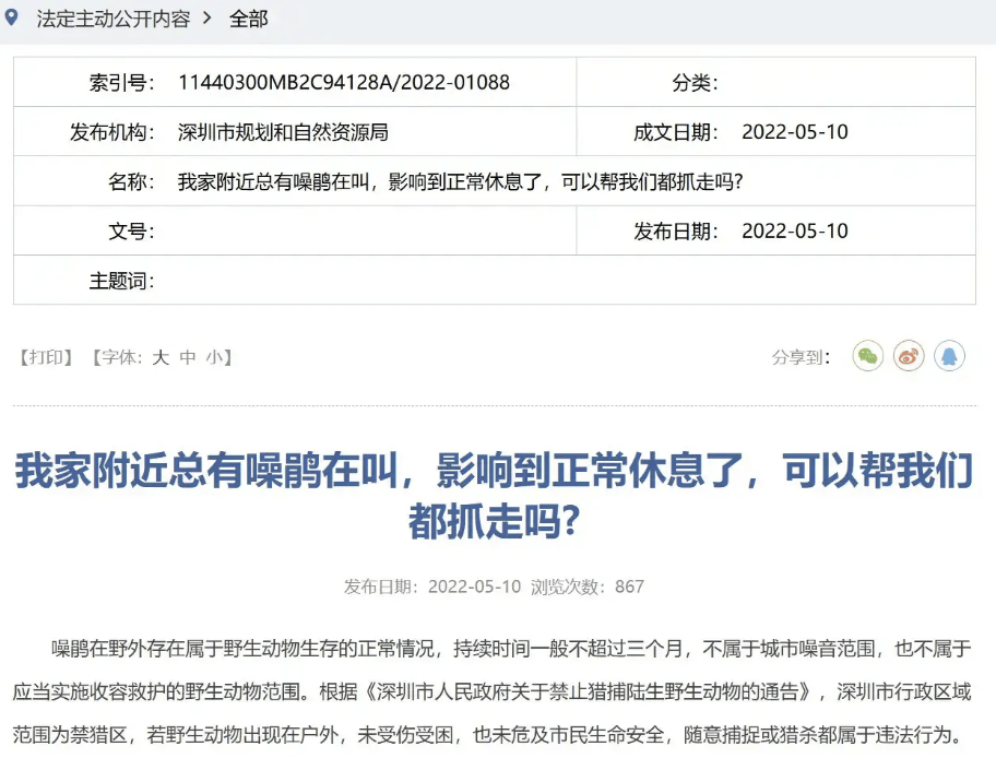 “周末想睡个懒觉都不行”<strong></p>
<p>bnb发行</strong>，有多少深圳人被这种鸟吵到神经衰弱