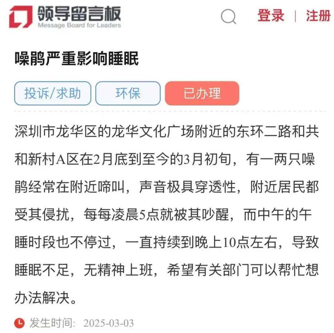 “周末想睡个懒觉都不行”<strong></p>
<p>bnb发行</strong>，有多少深圳人被这种鸟吵到神经衰弱