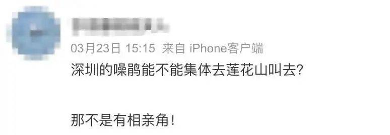 “周末想睡个懒觉都不行”<strong></p>
<p>bnb发行</strong>，有多少深圳人被这种鸟吵到神经衰弱