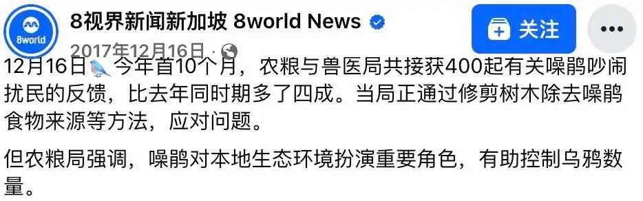 “周末想睡个懒觉都不行”<strong></p>
<p>bnb发行</strong>，有多少深圳人被这种鸟吵到神经衰弱