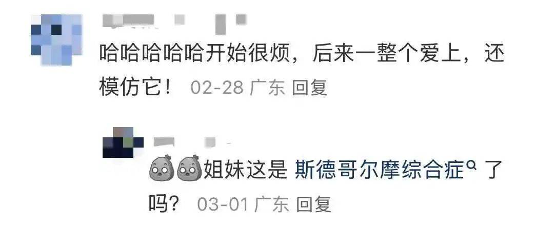 “周末想睡个懒觉都不行”<strong></p>
<p>bnb发行</strong>，有多少深圳人被这种鸟吵到神经衰弱