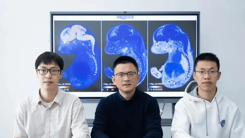 杭州西湖区：抑郁症的“藏身之处”被<strong></p>
<p>bnb价格</strong>他们成功定位