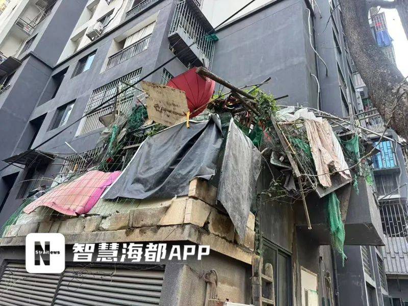 “这是我的宠物！”福州一独居老人在小区搭鸡窝养鸡<strong></p>
<p>bnb价格</strong>，引发争议！