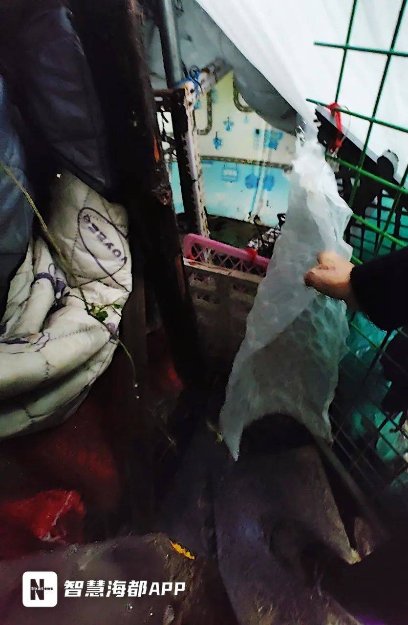 “这是我的宠物！”福州一独居老人在小区搭鸡窝养鸡<strong></p>
<p>bnb价格</strong>，引发争议！