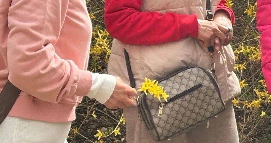事发劳动公园！这4名女子<strong></p>
<p>得物</strong>，你们这么做不脸红吗？