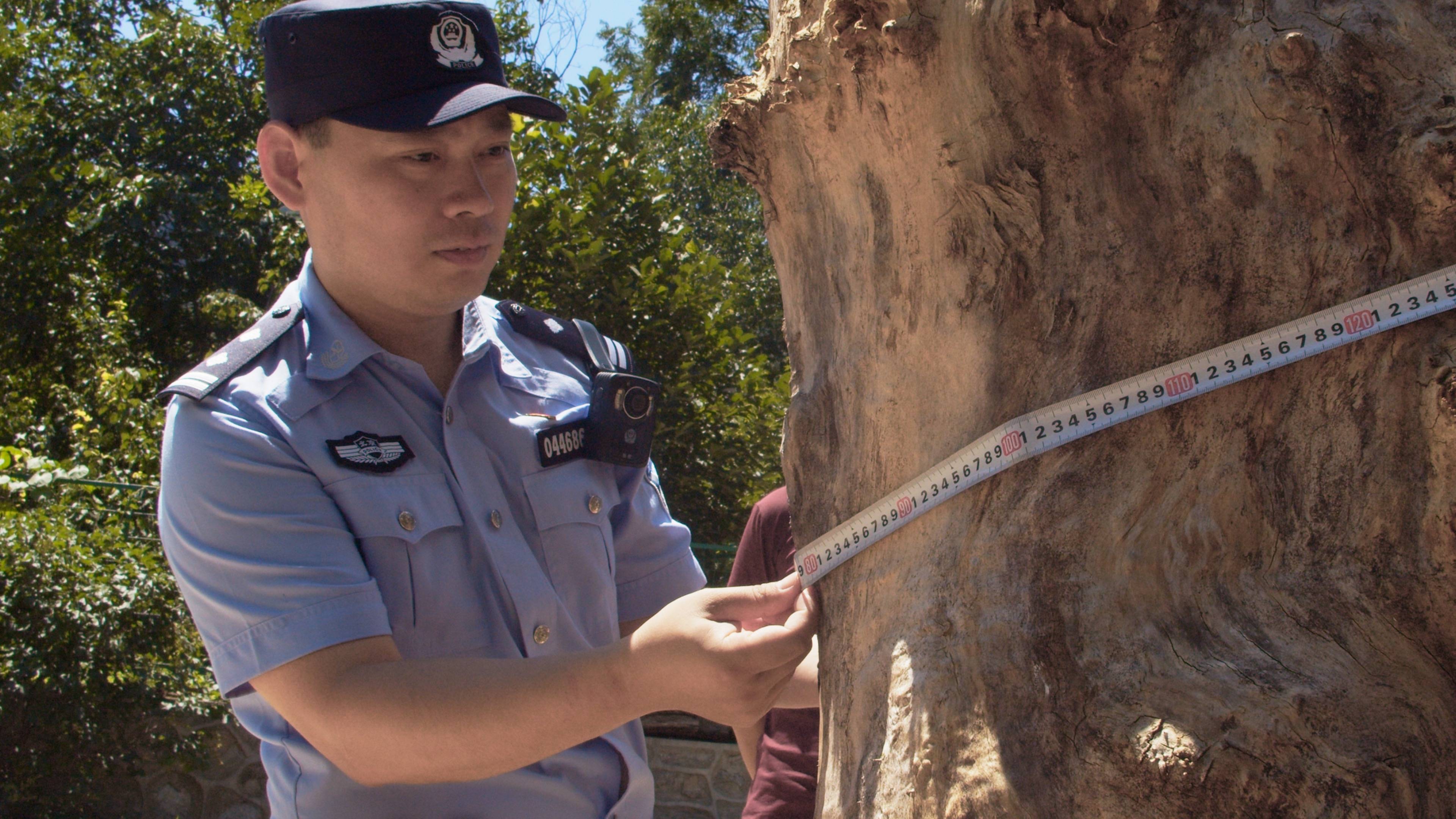 森林警察韩孟祺：乔装成驴友潜伏密林中<strong></p>
<p>天猫</strong>，抓获“粘鸟”嫌疑人