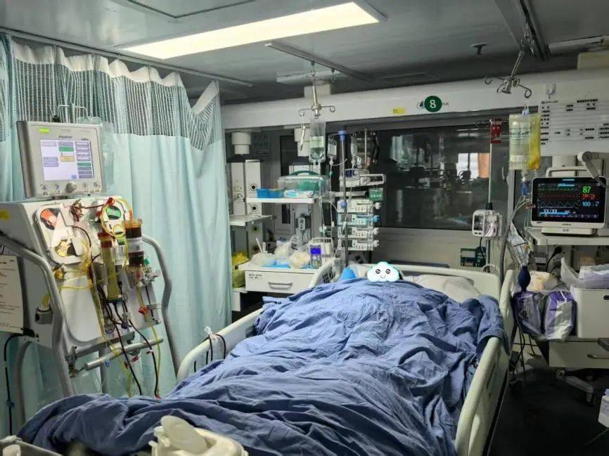 一锅下肚<strong></p>
<p>淘宝</strong>，广东一男子病危休克！死亡率接近100%，再次提醒：不采，不吃