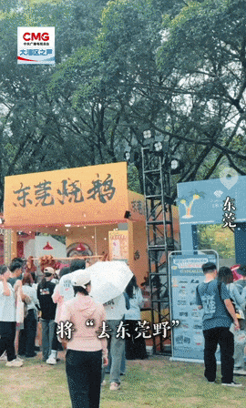 勇立潮头大湾区丨2.8 亿<strong></p>
<p>山寨币</strong>！东莞以音浪“宠粉”玩出文旅新高度