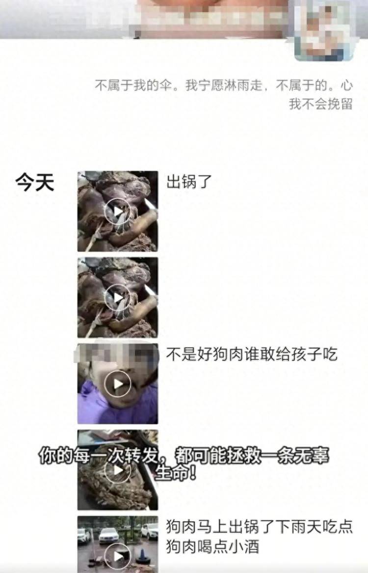 沈阳一店铺老板假借领养名义烹食流浪狗<strong></p>
<p>山寨币</strong>，警方：正在研讨处置