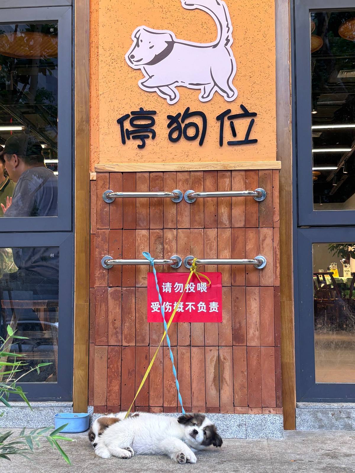 “先停狗再干饭！”武汉多个商铺现“停狗位”<strong></p>
<p>usd</strong>，商家称为吸引宠主，但有宠主表示担心