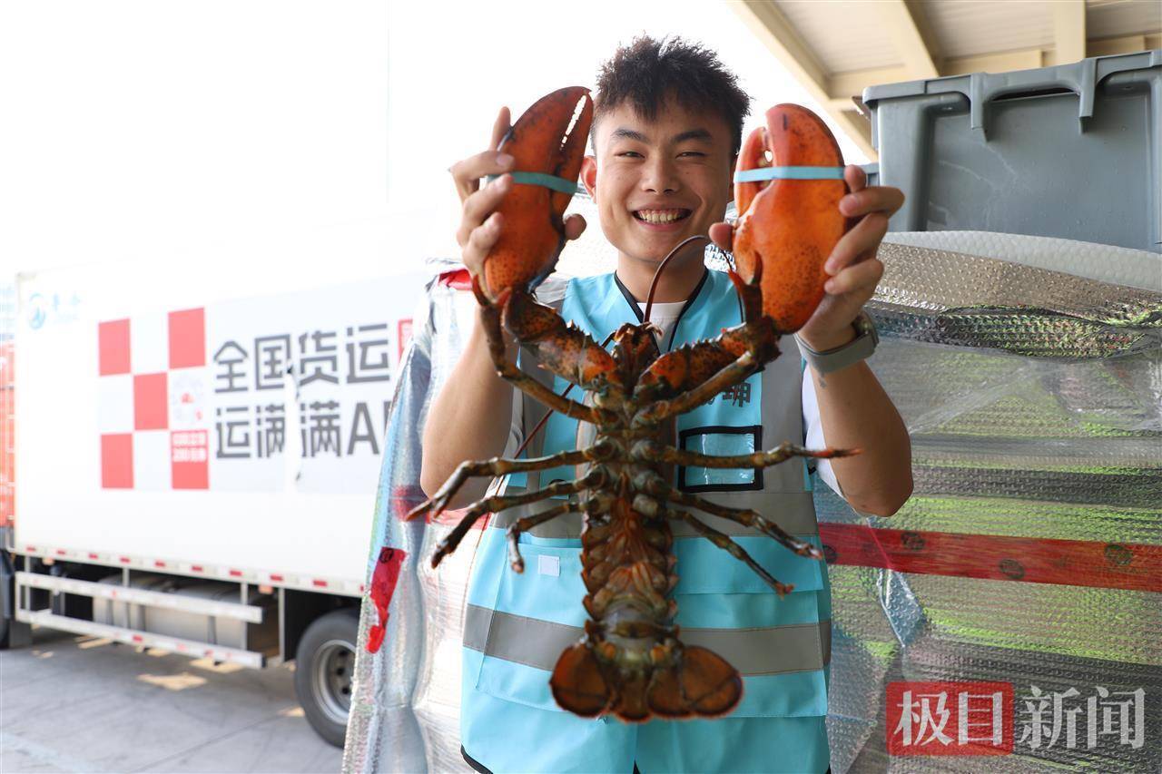 一只虾重堪比一个西瓜！90吨活波龙运抵鄂州<strong></p>
<p>ada</strong>，花湖机场货运航线突破100条