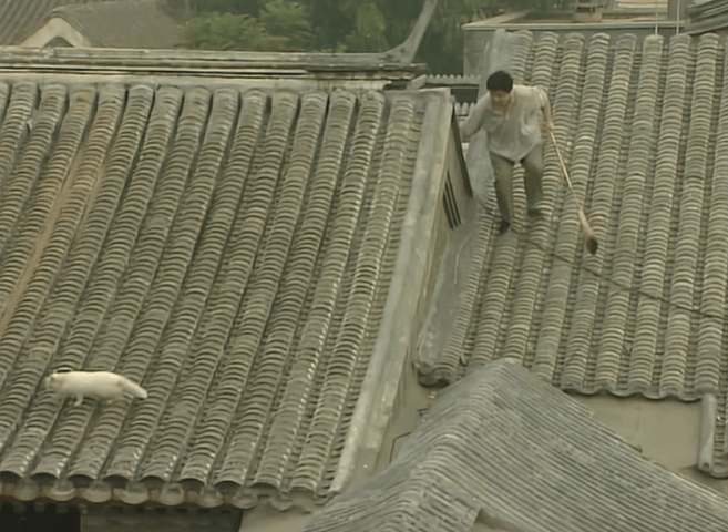 这么怂的男人<strong></p>
<p>ada</strong>，娱乐圈找不到第二个