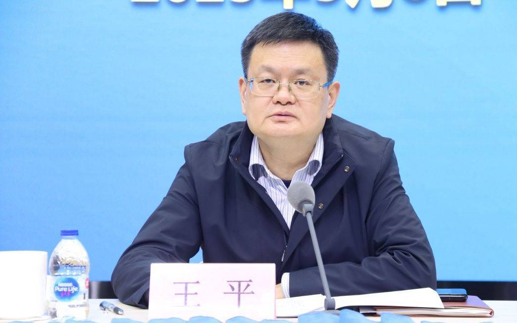 上海市政府办公厅主任王平<strong></p>
<p>bnb</strong>，履新职
