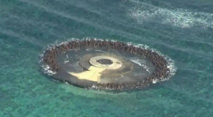 中日突然爆发激烈对峙！日本海空两路出击<strong></p>
<p>cbc</strong>，中方压根没当回事