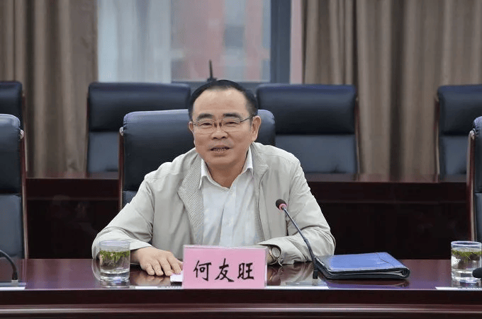 芜湖市委政法委原书记何友旺被逮捕<strong></p>
<p>ada</strong>！