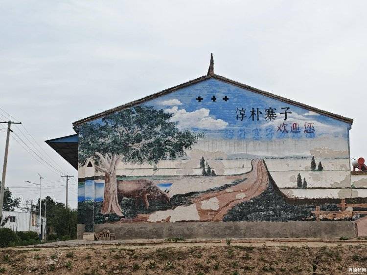 大棚遭断水<strong></p>
<p>奶瓶</strong>，蔬菜被哄抢？甘肃一菜农在陕西承包的90座大棚几近绝收