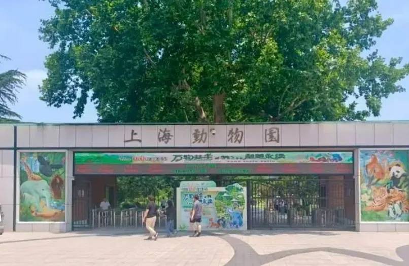 10月龄婴儿展馆内喝奶被赶出<strong></p>
<p>奶瓶</strong>，上海动物园称做法合规，客服：暂未接到增设母婴室通知