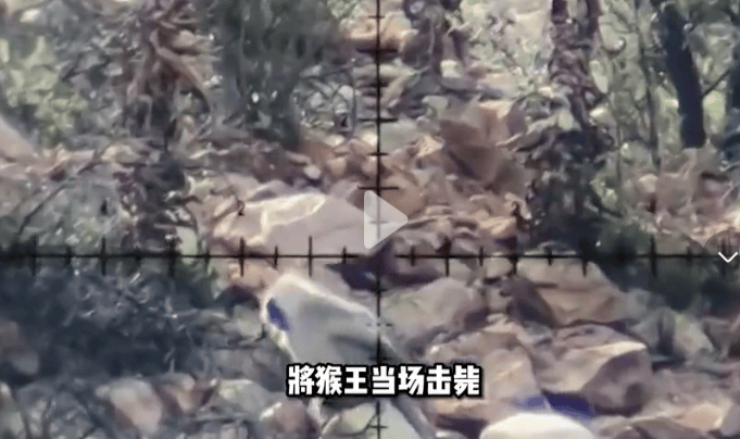 四川峨眉山“人猴大战<strong></p>
<p>okex比特币</strong>，游客坠崖，猴王被射杀”？景区辟谣：多年前就在网络传播，没发生过这种事