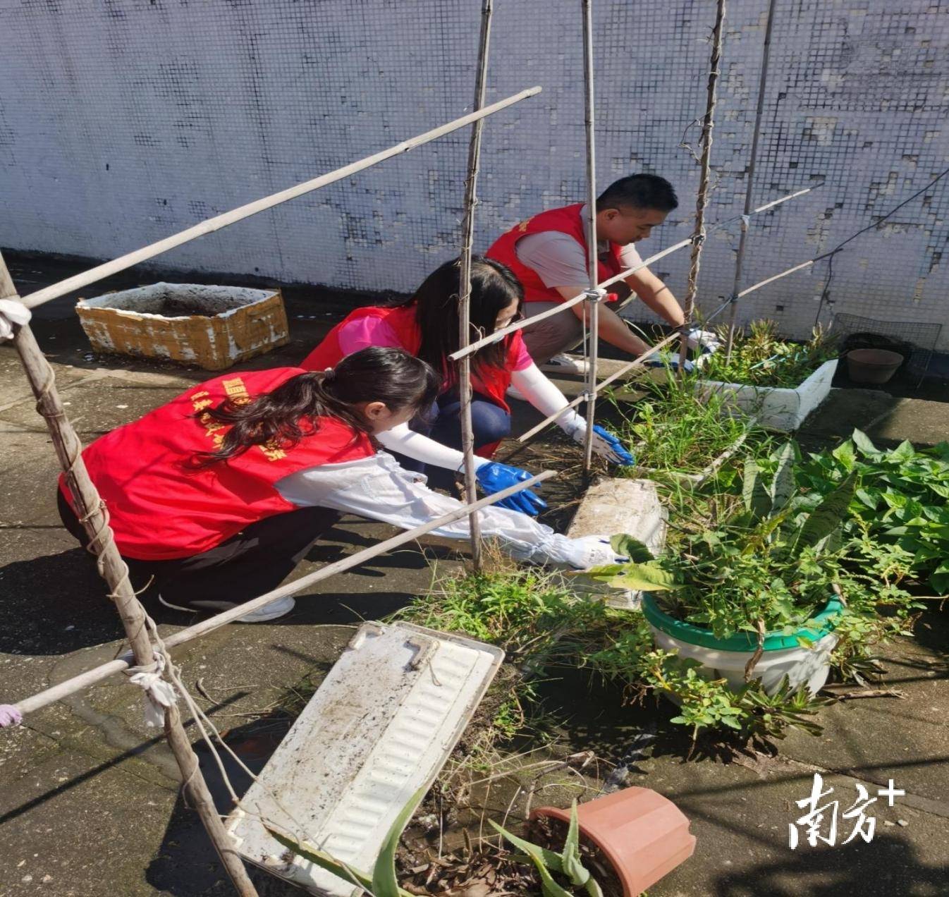 顺德超3300名党员干部下沉一线<strong></p>
<p>okex下载app</strong>，党群联动打响蚊媒防控歼灭战