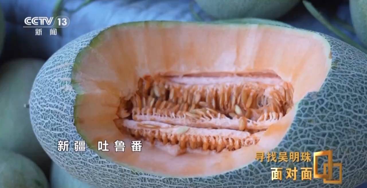 面对面丨中国人的吃瓜自由要感谢她<strong></p>
<p>okex下载内测</strong>！吴明珠说她的一生就是结几个好瓜献给人民