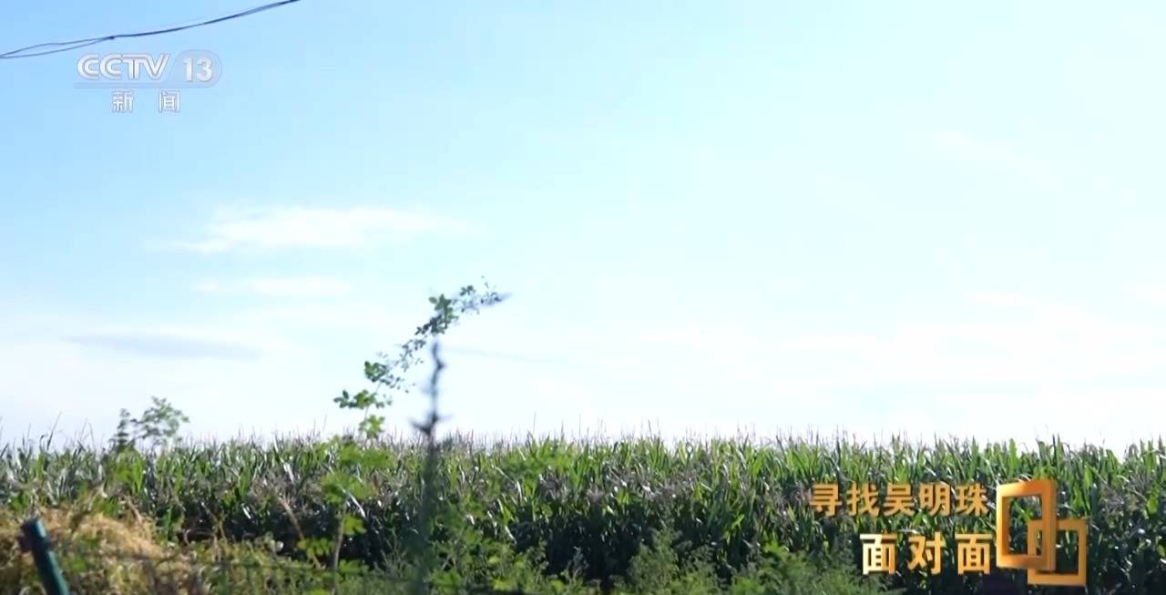 面对面丨中国人的吃瓜自由要感谢她<strong></p>
<p>okex下载内测</strong>！吴明珠说她的一生就是结几个好瓜献给人民