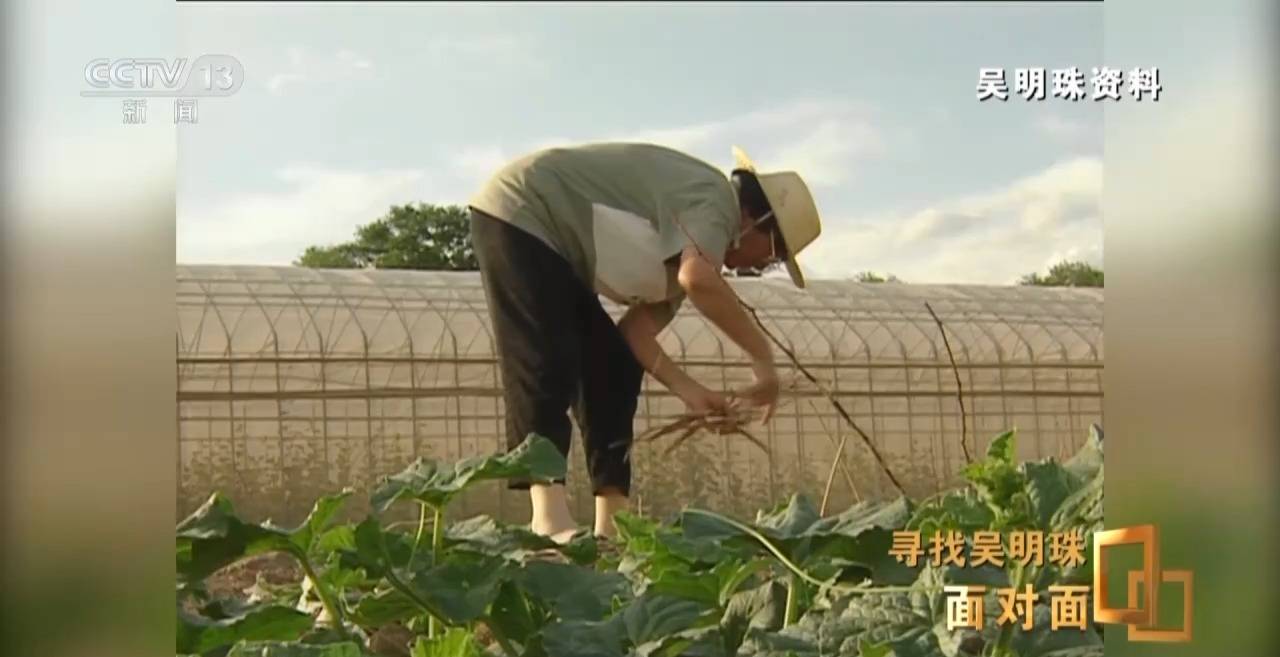 面对面丨中国人的吃瓜自由要感谢她<strong></p>
<p>okex下载内测</strong>！吴明珠说她的一生就是结几个好瓜献给人民