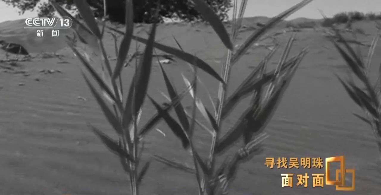 面对面丨中国人的吃瓜自由要感谢她<strong></p>
<p>okex下载内测</strong>！吴明珠说她的一生就是结几个好瓜献给人民
