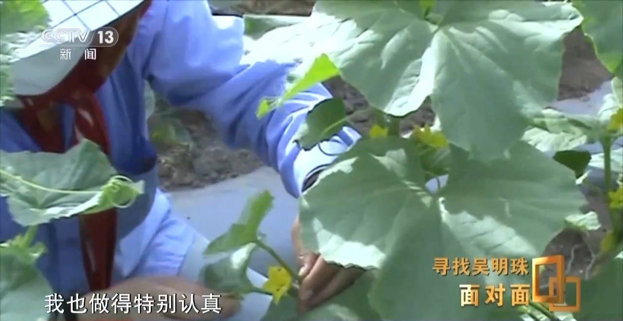 面对面丨中国人的吃瓜自由要感谢她<strong></p>
<p>okex下载内测</strong>！吴明珠说她的一生就是结几个好瓜献给人民