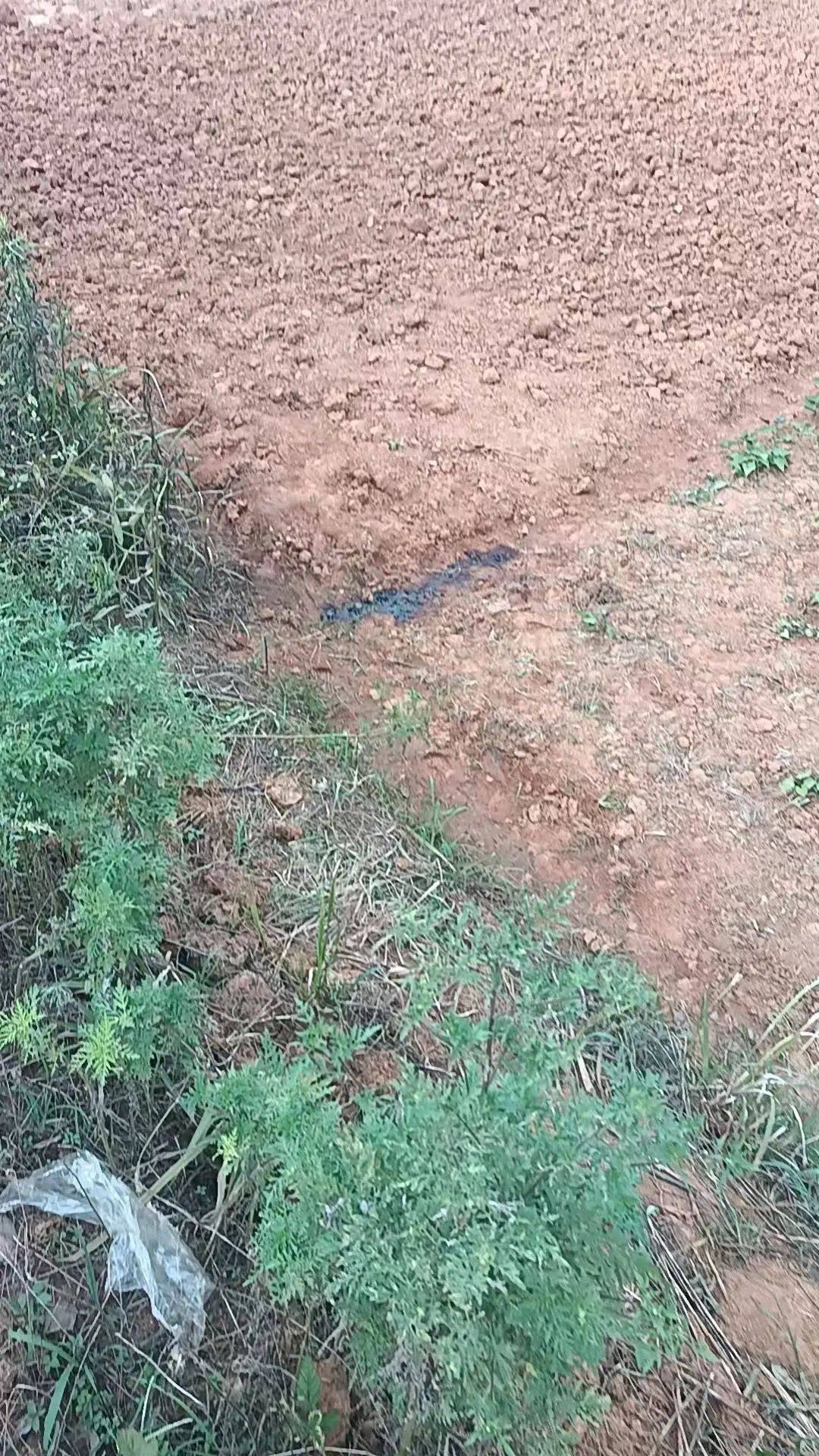工人被误当猎物枪击身亡<strong></p>
<p>okex下载链接</strong>，警方通报：屈某某、罗某某被刑拘