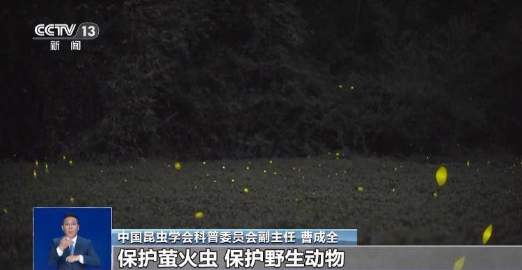 网传萤火虫濒临灭绝<strong></p>
<p>欧易(okex)</strong>，是真的吗？