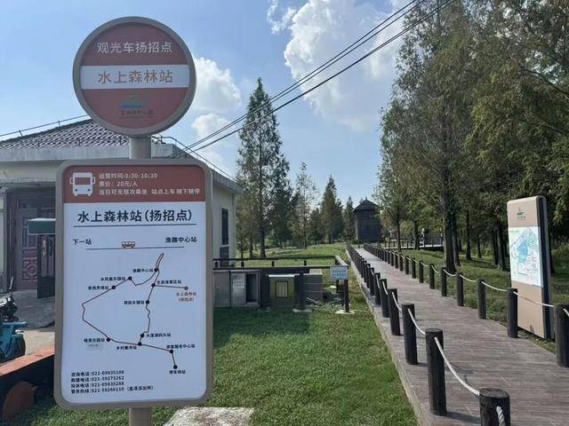 上海著名地标宣布：24小时内可免费停车<strong></p>
<p>币安</strong>！