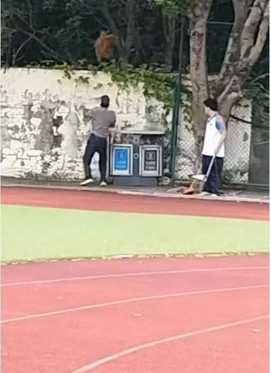福建一公办职中保安被指当学生面<strong></p>
<p>币安</strong>，从3米高墙扔出流浪狗！福清教育局：将核实情况